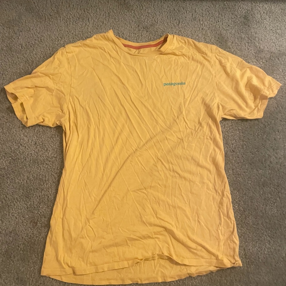 Patagonia T-shirt
